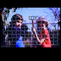 Puzzle carton